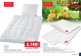 Kika nbytek aktuln letk, strana 55 